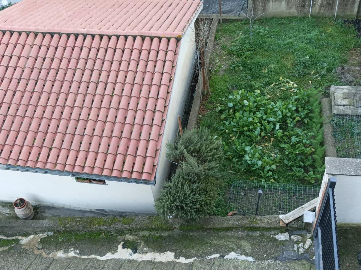 Affittacamere Piagge オルヴィエート エクステリア 写真